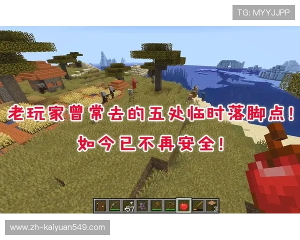 必赢国际版安全保障措施，保障玩家个人信息与资金安全